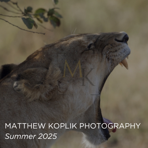 Matthew Koplik Photography Site